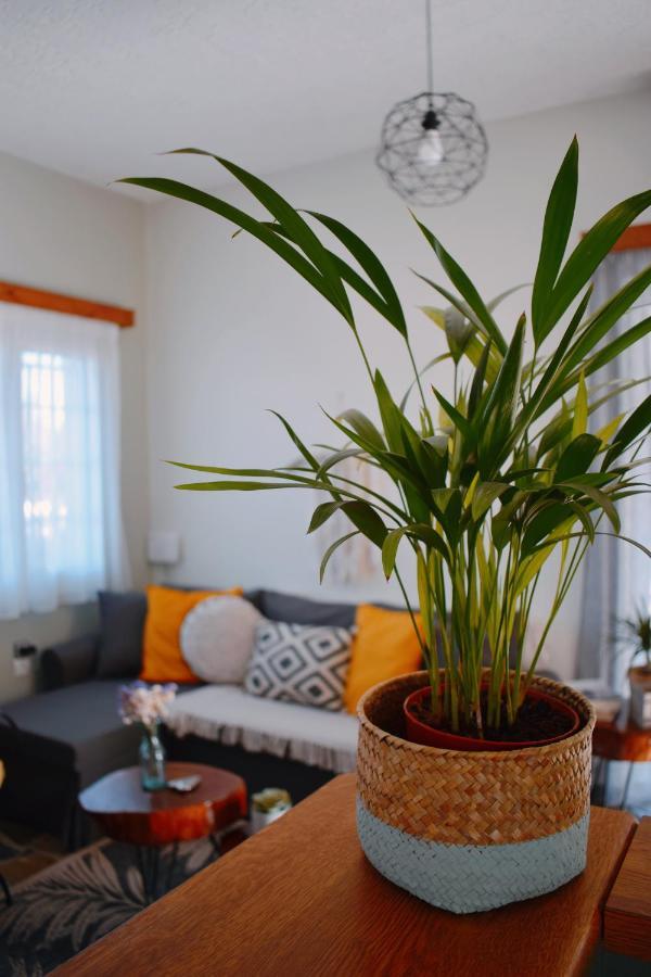Elia's House Traditional & Cozy By 8essentially Hébergement de vacances Kalyves